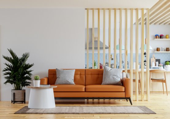 Diamond Manor Apartment